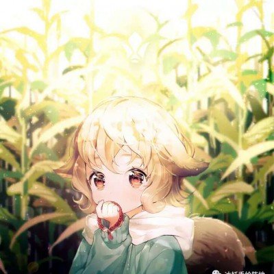 熊出没